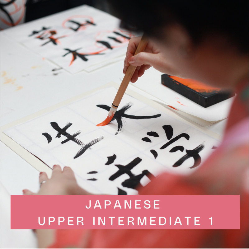Japanese N3 Upper-Intermediate 1 (June-10 start)
